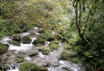 神农大峡谷景区第 17 张图片