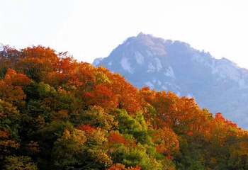 洛阳花果山景区第 3 张图片