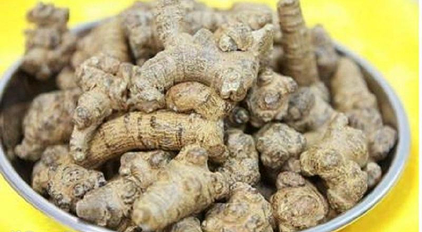 丽江古城---三七