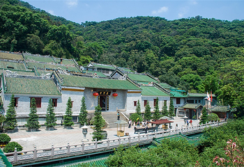 鼎湖山第 31 张图片