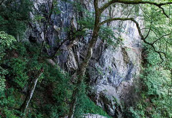 神农大峡谷景区第 8 张图片