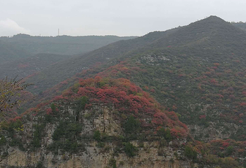 山里泉旅游区第 9 张图片