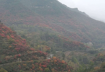 山里泉旅游区第 12 张图片