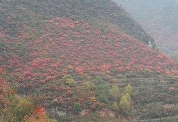 山里泉旅游区第 13 张图片