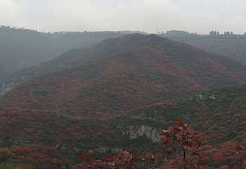 山里泉旅游区第 8 张图片