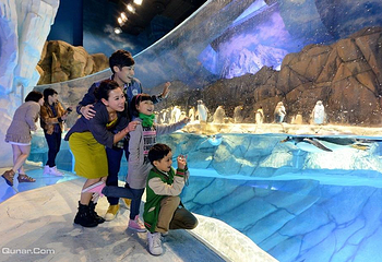 香港海洋公园第 50 张图片