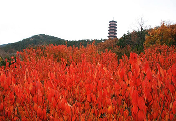 赤山风景区第 2 张图片