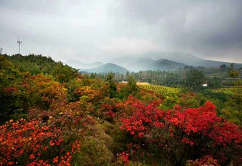 洛阳花果山景区第 5 张图片