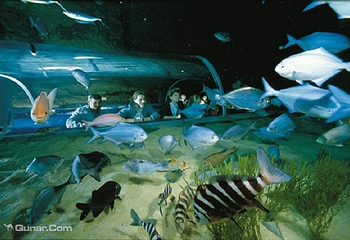 凯利达顿南极水族馆第 3 张图片