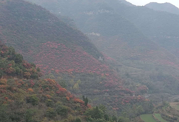 山里泉旅游区第 11 张图片