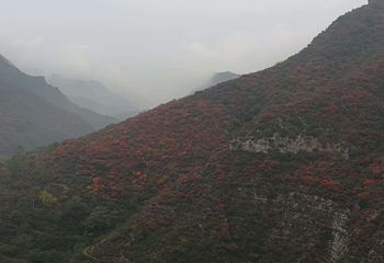 山里泉旅游区第 10 张图片