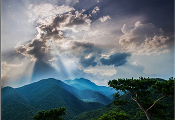 鼎湖山第 44 张图片