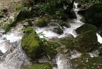 神农大峡谷景区第 20 张图片