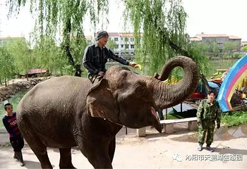 天鹅湖生态园第 9 张图片