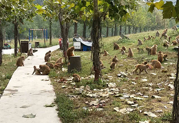 山里泉旅游区第 3 张图片