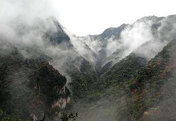 神农大峡谷景区第 14 张图片