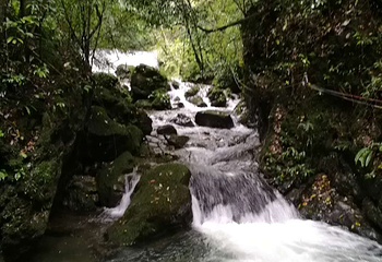 神农大峡谷景区第 15 张图片