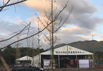 银杏村第 3 张图片
