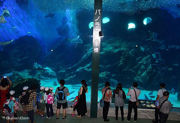 海洋世界海之中道第 2 张图片