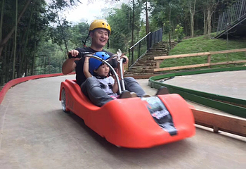 TOP LUGE 桃坡新西兰滑板车第 2 张图片