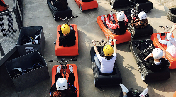 TOP LUGE 桃坡新西兰滑板车