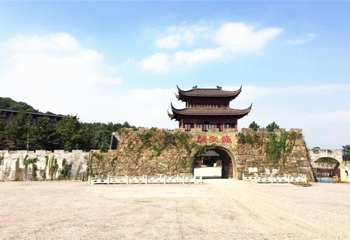TOP LUGE 桃坡新西兰滑板车第 5 张图片