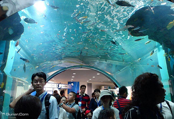 海洋世界海之中道第 3 张图片