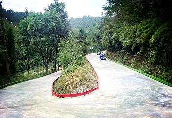 TOP LUGE 桃坡新西兰滑板车第 4 张图片