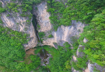 中亚楠木林风景区第 6 张图片