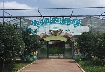 大浦乡村世界景区第 32 张图片