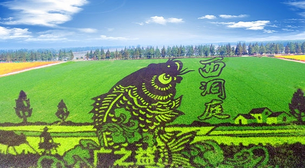 西洞庭稻野寻湘主题乐园