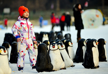 陶然亭公园冰雪嘉年华第 9 张图片
