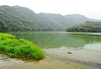 灵龙湖生态文化旅游区第 7 张图片