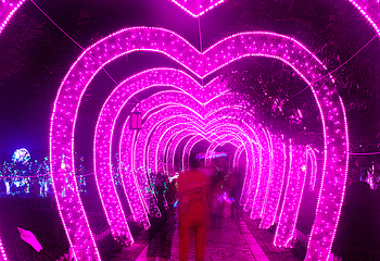 2018吕梁巴黎灯光秀第 7 张图片