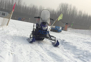 盛泰名人花园冰雪嘉年华第 1 张图片