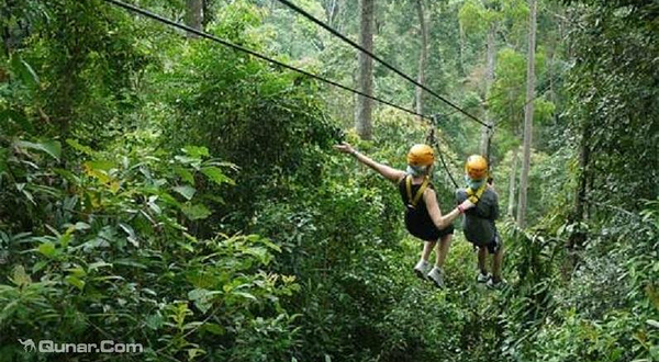 清迈飞鼠丛林飞跃