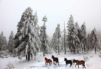 南天湖国际滑雪场第 20 张图片