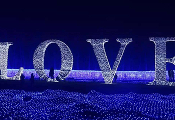 2018吕梁巴黎灯光秀第 24 张图片