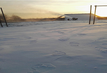 红亭驿滑雪场第 2 张图片