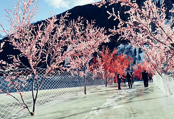 老君顶景区第 6 张图片