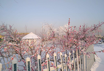 津溪桃源冰雪嘉年华第 6 张图片