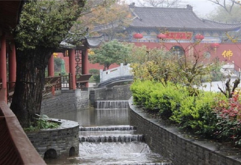 冶父山国家森林公园第 13 张图片