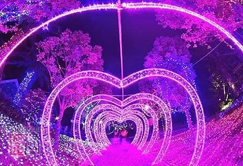 德思勤灯光节第 4 张图片