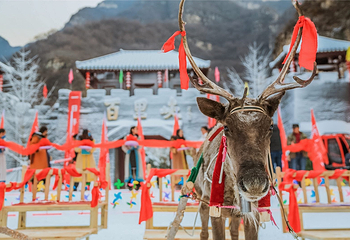 百里峡第 19 张图片