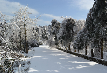 南天湖国际滑雪场第 15 张图片