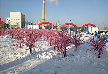益达冰雪嘉年华第 4 张图片
