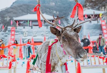 百里峡第 14 张图片
