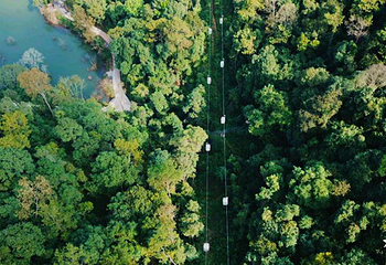 普洱茶马古道遗址公园第 19 张图片