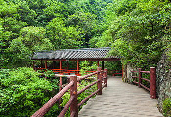 汉中石门栈道风景区第 5 张图片