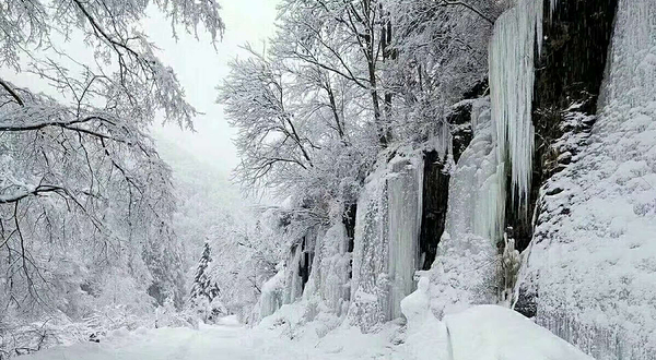 长白山林海穿越